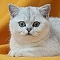 Myriam