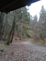 Gunse